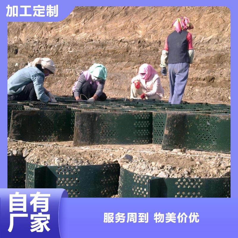 【土工格室】-双向塑料土工格栅快速发货