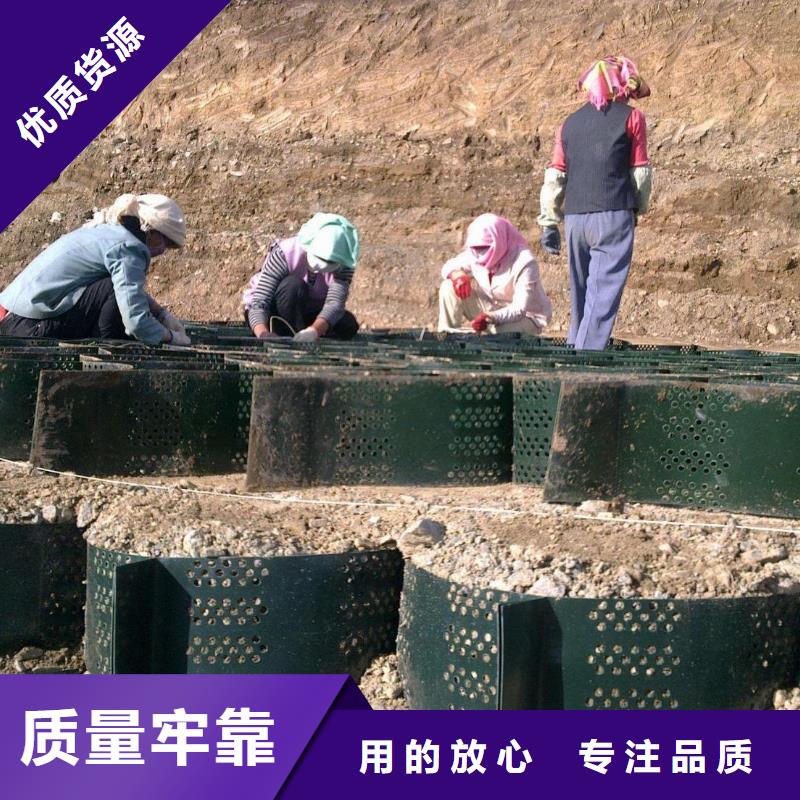 土工格室_双向塑料土工格栅厂家售后完善