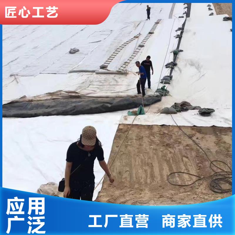 【三维复合排水网】_土工格栅常年出售