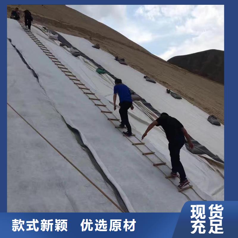 三维复合排水网双向土工格栅价格地道