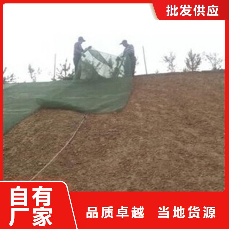 【三维植被网】凸结点钢塑土工格栅批发商