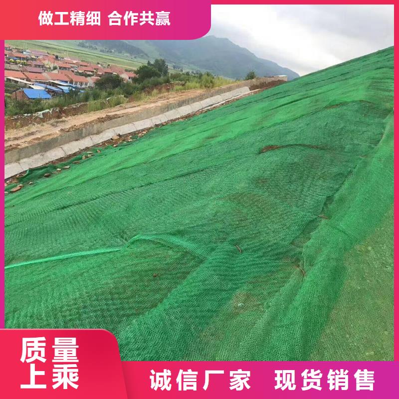 三维植被网-凸结点钢塑土工格栅颜色尺寸款式定制