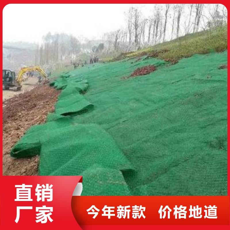 三维植被网【双向塑料土工格栅】厂家供应