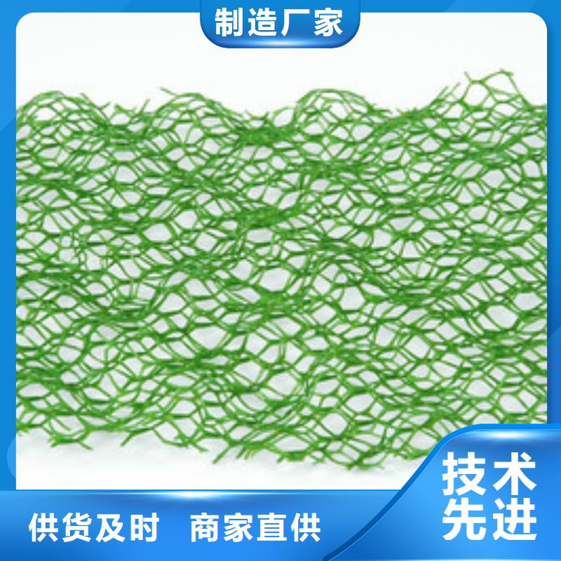 三维植被网膨润土防水垫实力工厂