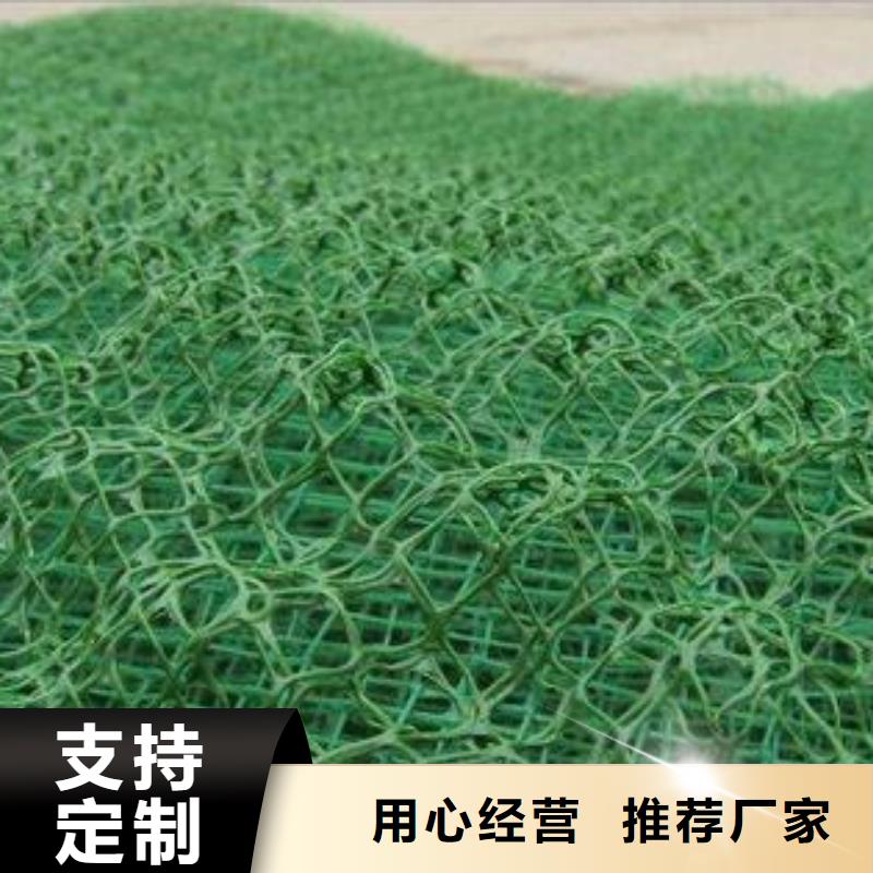 三维植被网三维土工网垫实力厂商