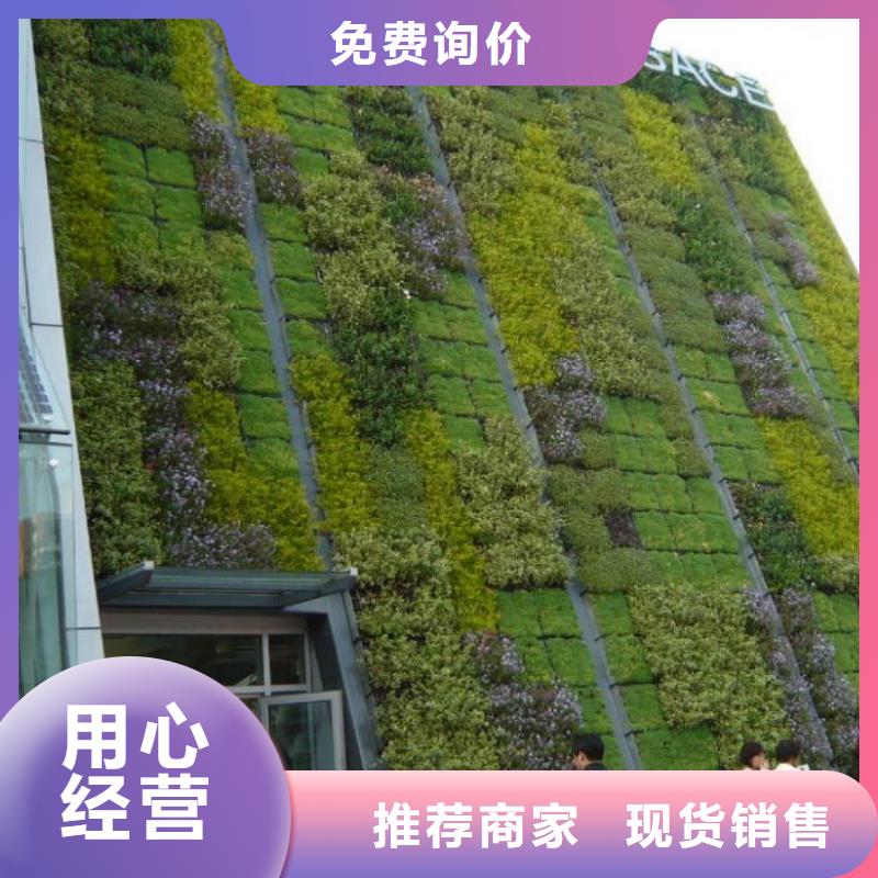 三维植被网玻纤格栅实力厂家直销