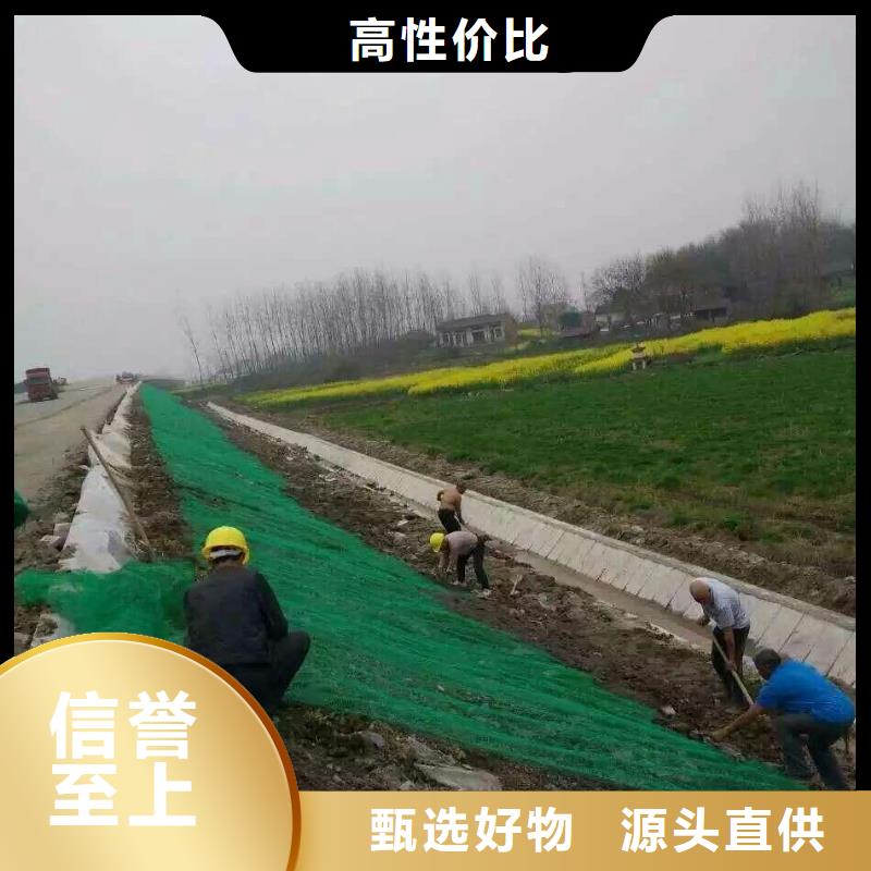 三维植被网【膨润土防水毯】好品质经得住考验