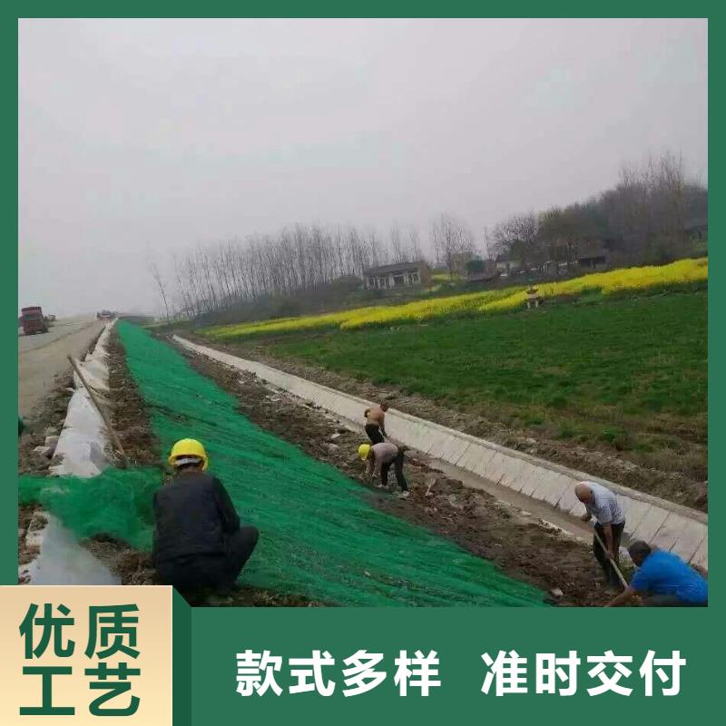 三维植被网-双向塑料土工格栅生产型