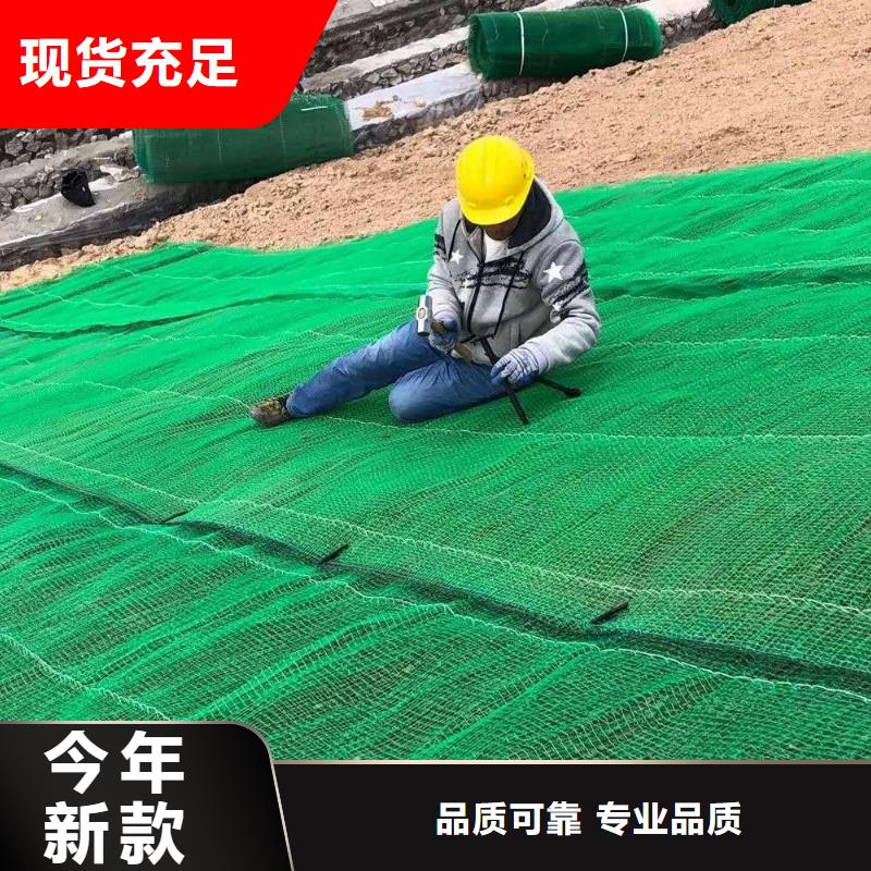 三维植被网长丝土工布免费寄样