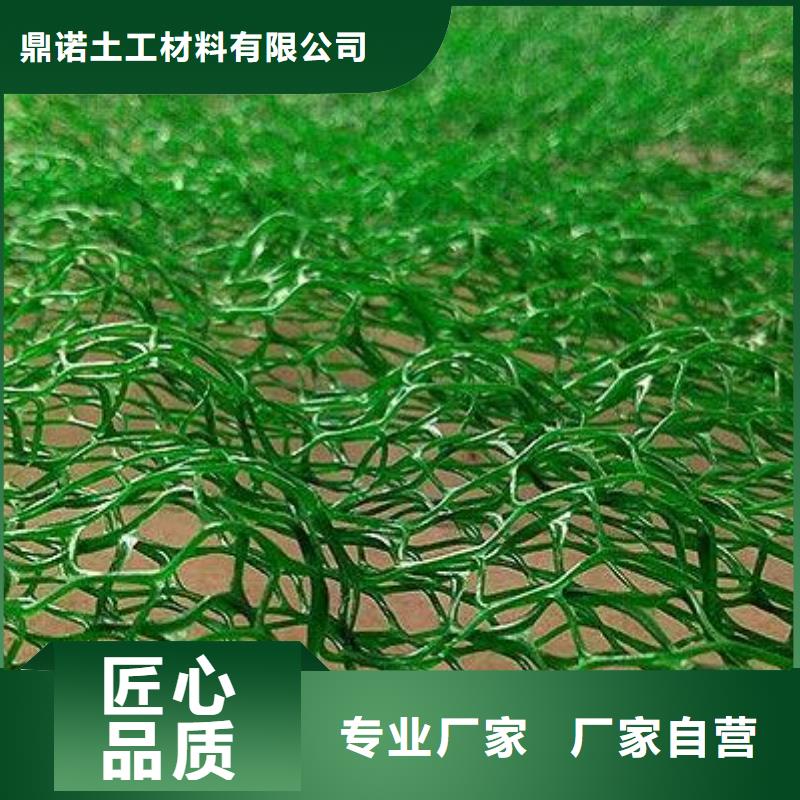 三维植被网软式透水管质量为本