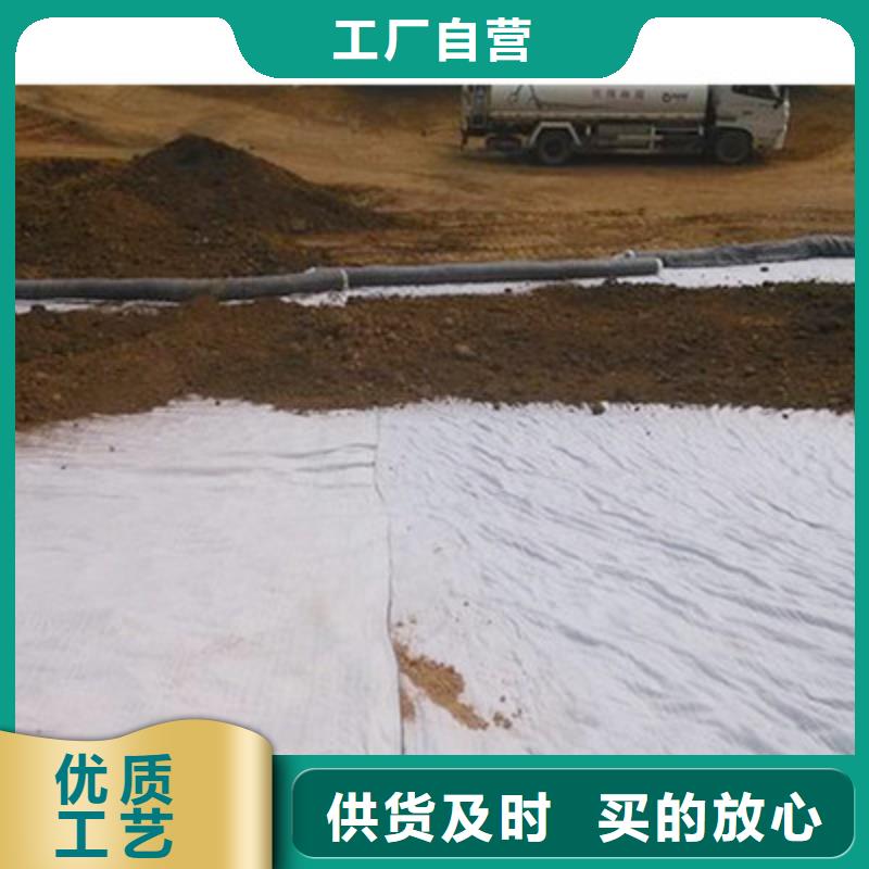 膨润土防水毯-双向塑料土工格栅本地厂家值得信赖