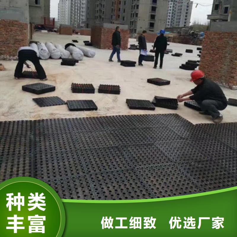 塑料排水板玻璃纤维土工格栅批发货源