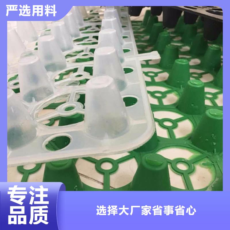 塑料排水板玻璃纤维土工格栅批发货源