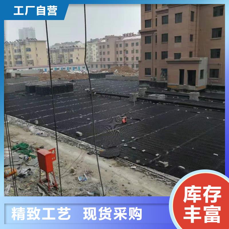 塑料排水板玻璃纤维土工格栅精选货源