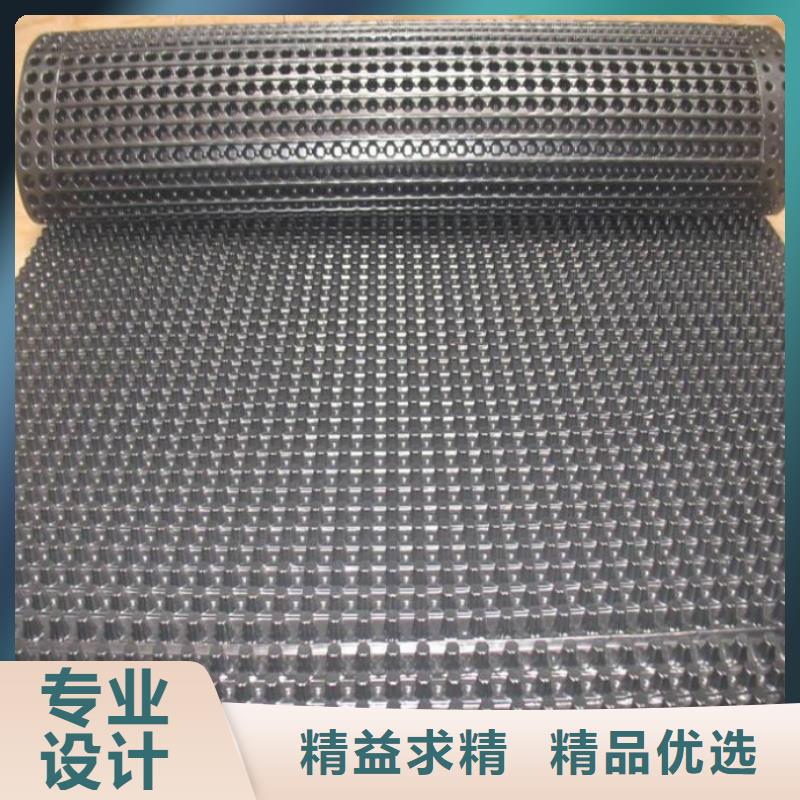 同城(亿路通)塑料排水板【三维水土保护毯】支持批发零售