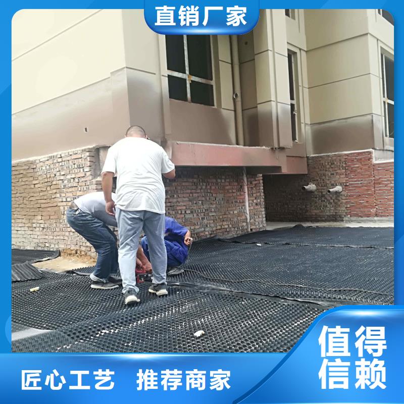 同城(亿路通)塑料排水板【三维水土保护毯】支持批发零售