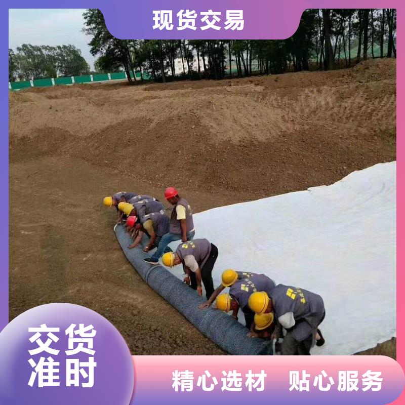 防水毯钢塑土工格栅厂家库存充足