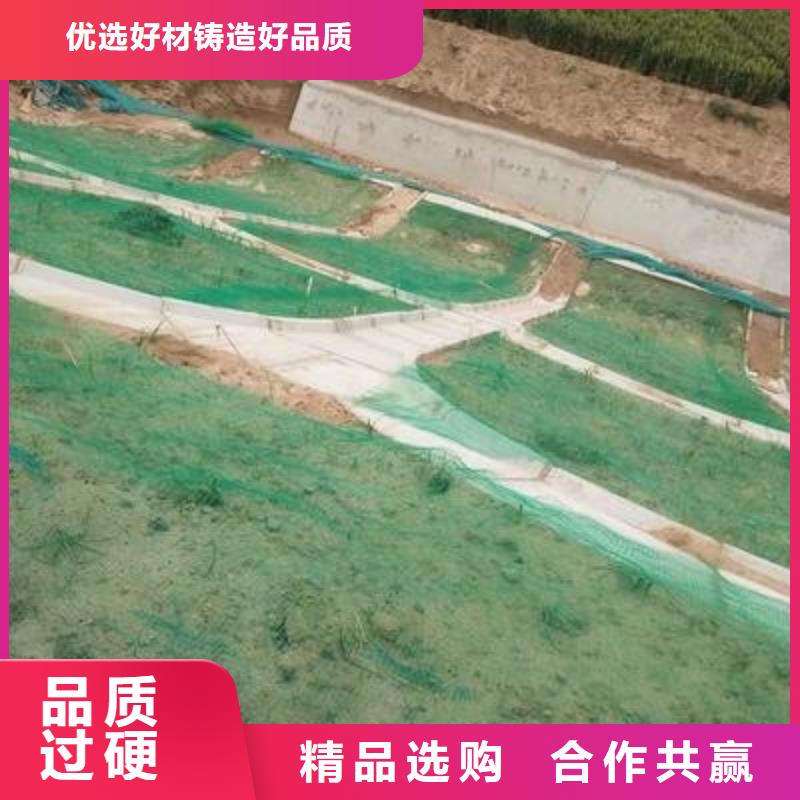 三维植被网【长丝无纺土工布】一个起售