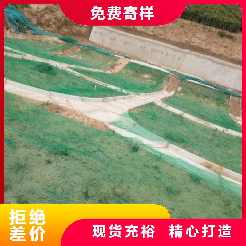 【三维植被网】钢塑土工格栅厂家实时报价