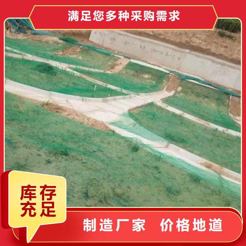 【三维植被网】钢塑土工格栅厂家实时报价