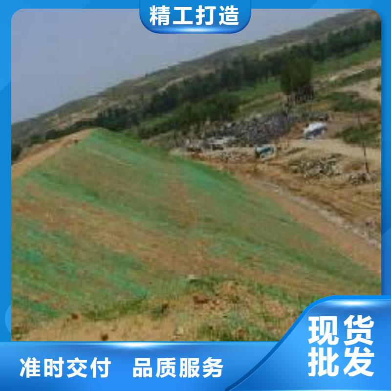 【三维植被网】双向塑料土工格栅厂家现货批发