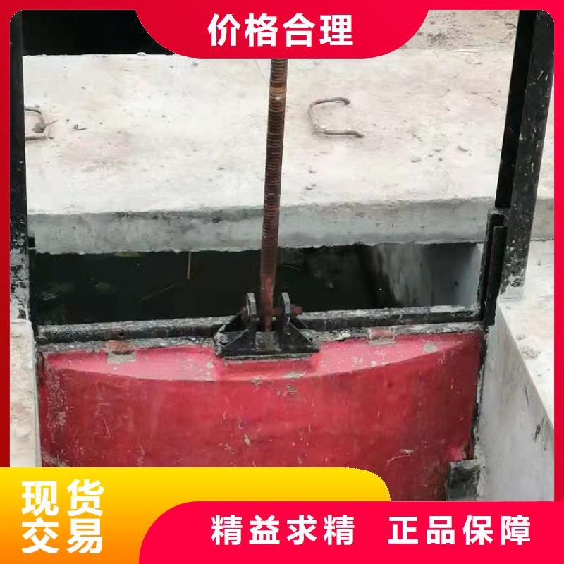 双向止水闸门免费提供咨询