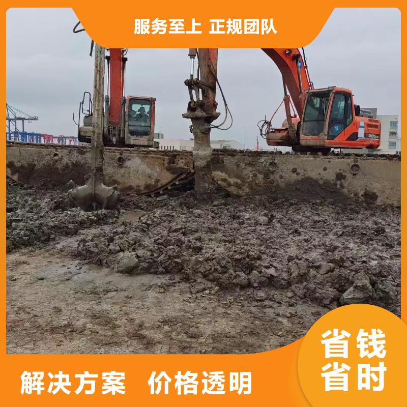 陇南订购大规模水陆挖机租赁厂家