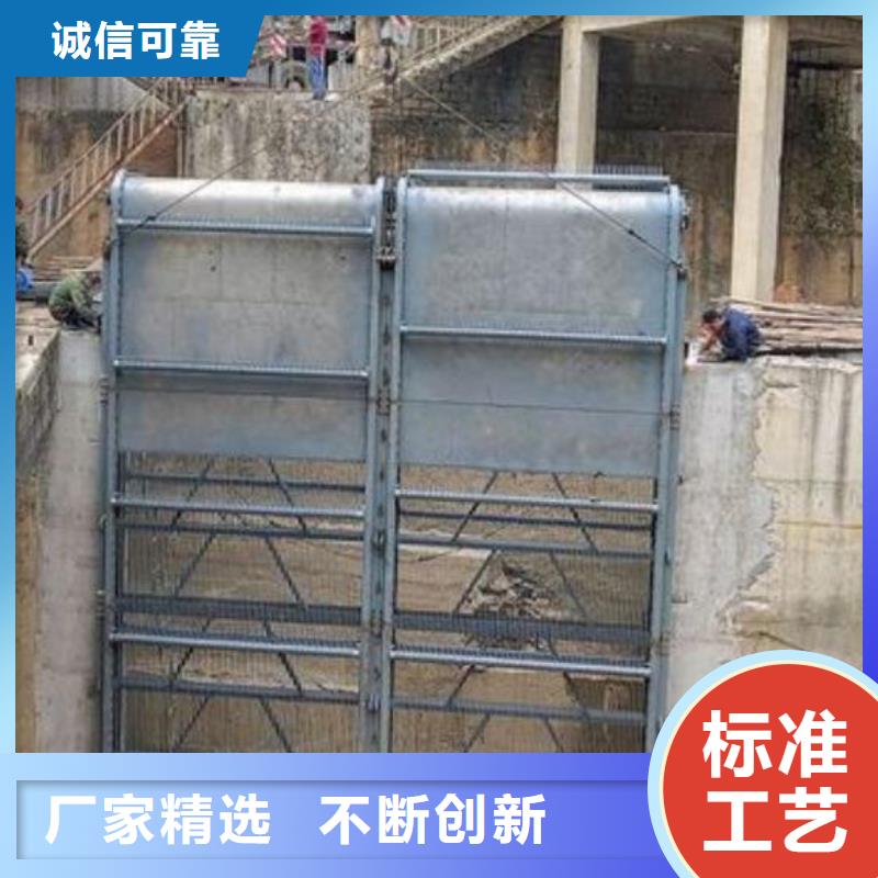 清污机【铸铁拍门】规格型号全