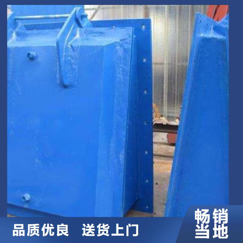 拍门拦污栅产品细节参数