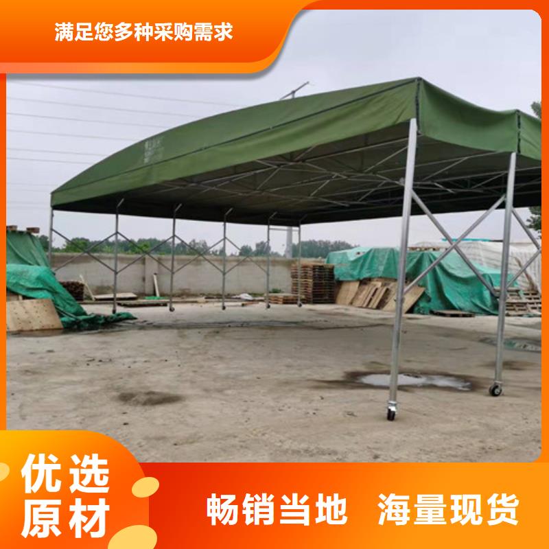 【雨蓬-帆布质保一年】