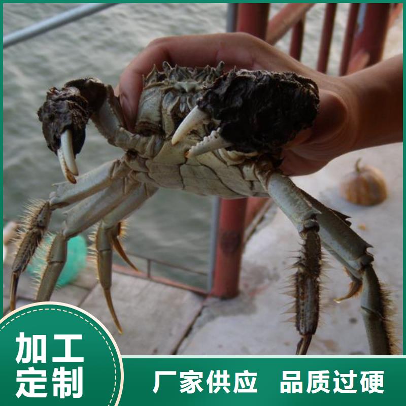 源头厂家(顾记)鲜活螃蟹价格