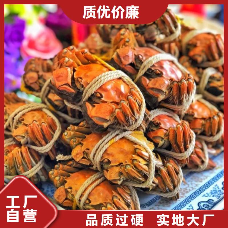 周边【顾记】专业销售螃蟹-省钱