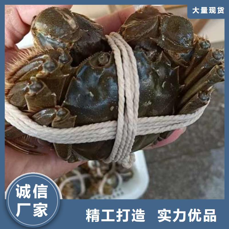 阳澄湖大闸蟹发货快品质高