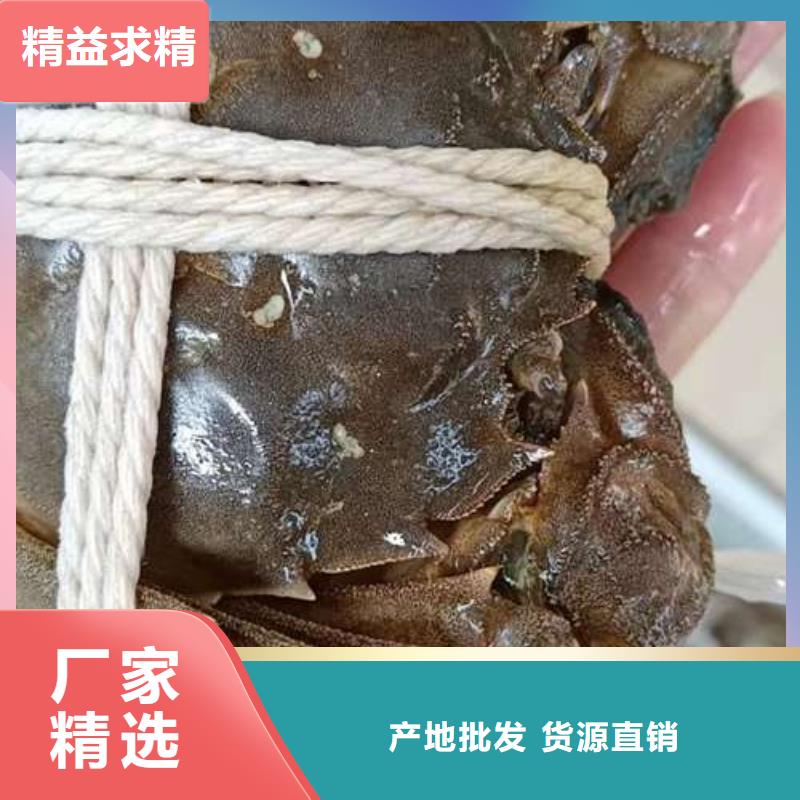 选阳澄湖大闸蟹-实体厂家可定制