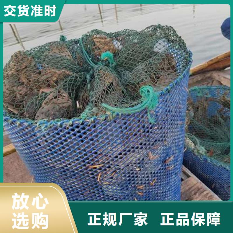 阳澄湖大闸蟹销售厂家