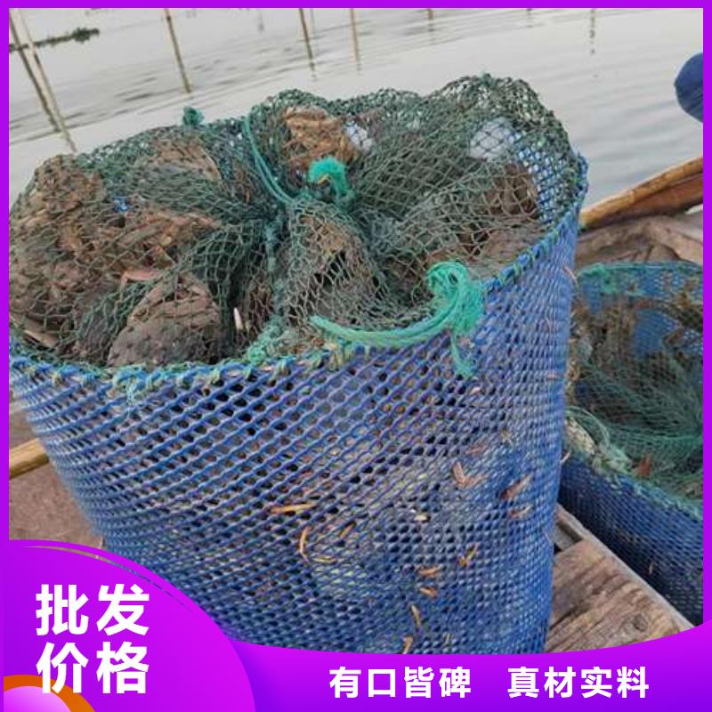 阳澄湖大闸蟹厂家长期供应