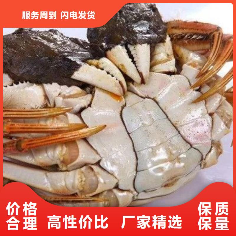 阳澄湖大闸蟹原厂正品