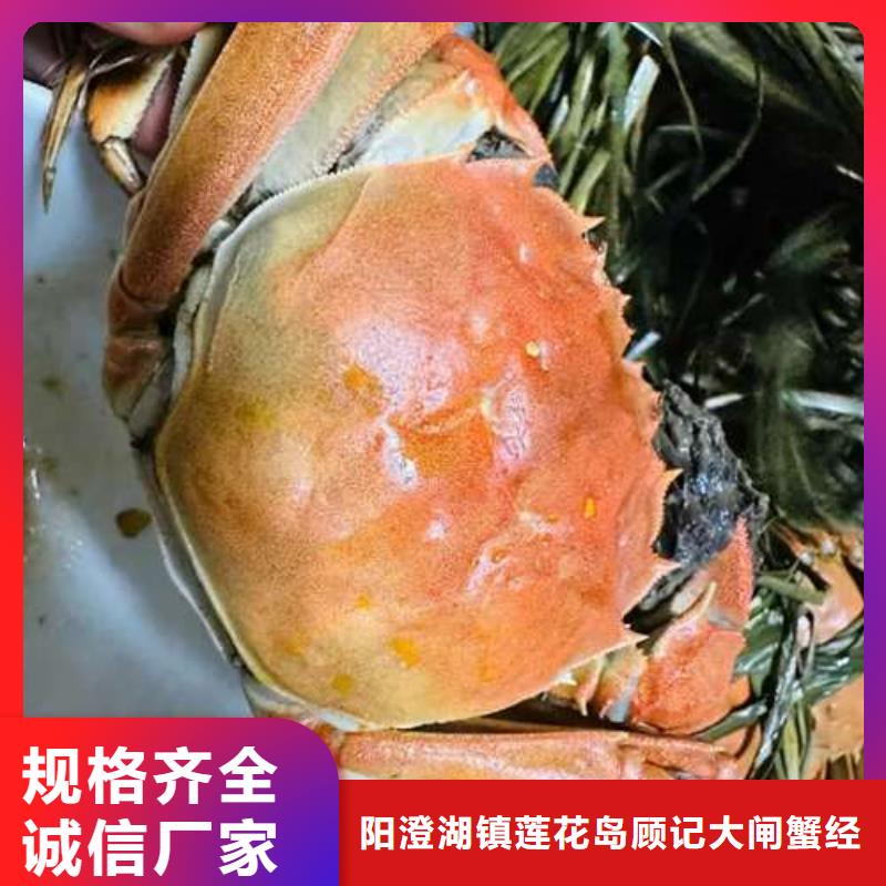 阳澄湖大闸蟹资质齐全