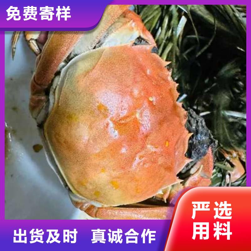 阳澄湖大闸蟹现货厂家