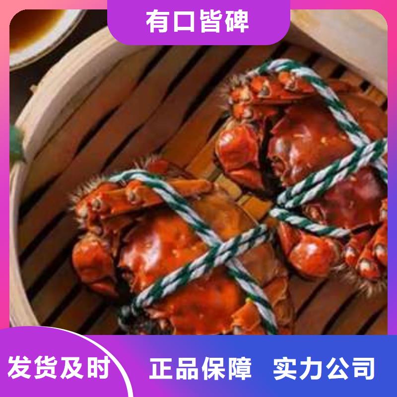 供应阳澄湖大闸蟹_品牌厂家