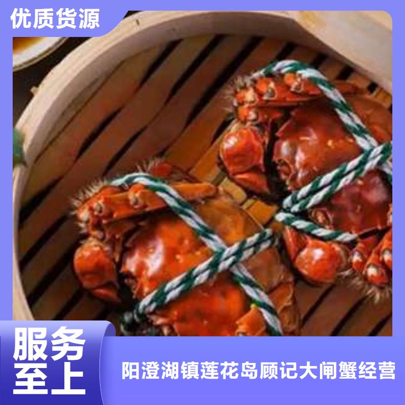 生产阳澄湖大闸蟹_优质厂家