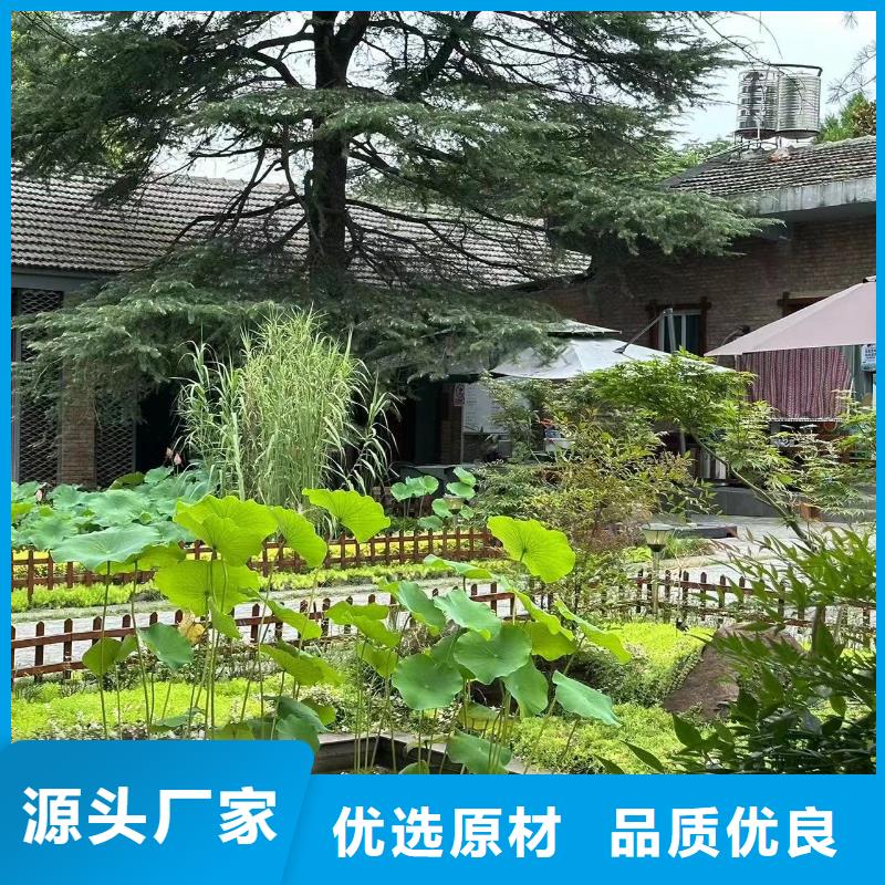 三合院农村一层带小院自建房建筑