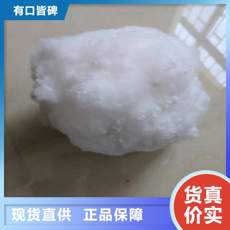 水处理填料椰壳粉末活性炭生产加工