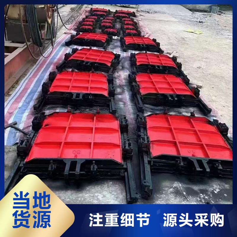 铸铁镶铜闸门-铸铁法兰闸门信誉良好