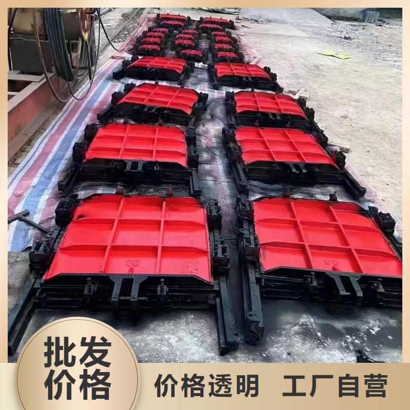 铸铁闸门-水电站闸门创新