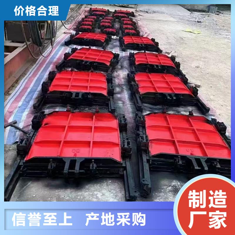 饶平县平面拱形闸门