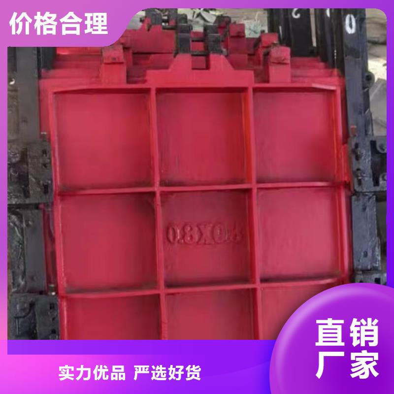 获嘉县启闭机闸门