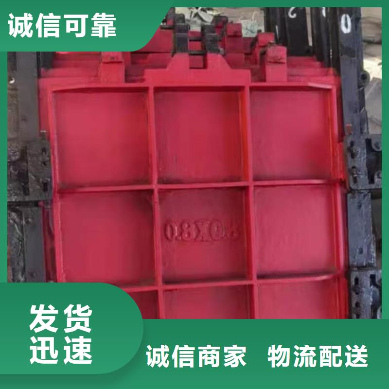 墙式镶铜铸铁圆闸门