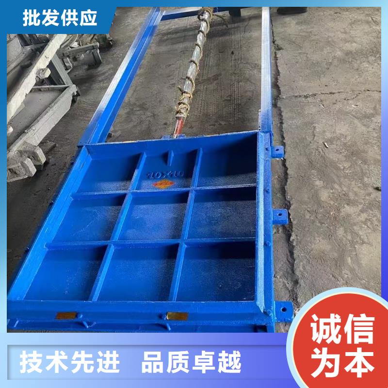 铸铁闸门-止水带橡胶品质卓越