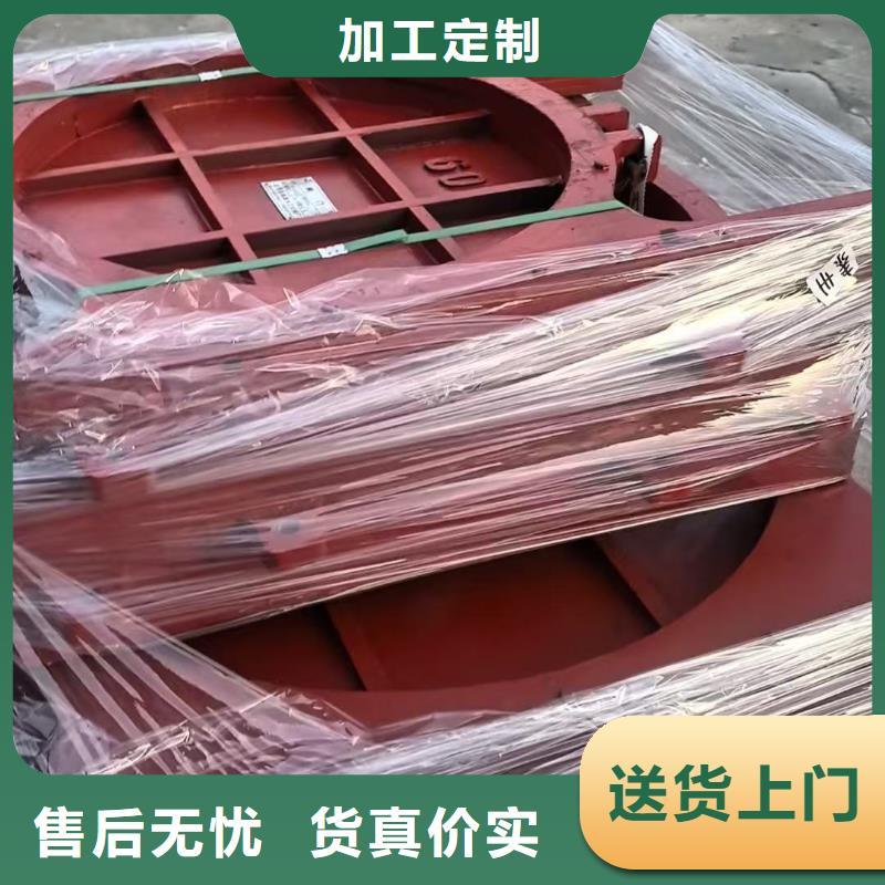 成华区铸铁镶铜闸门